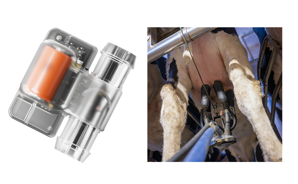 Neu: Der Milchsensor | Pressemeldungen | CowManager